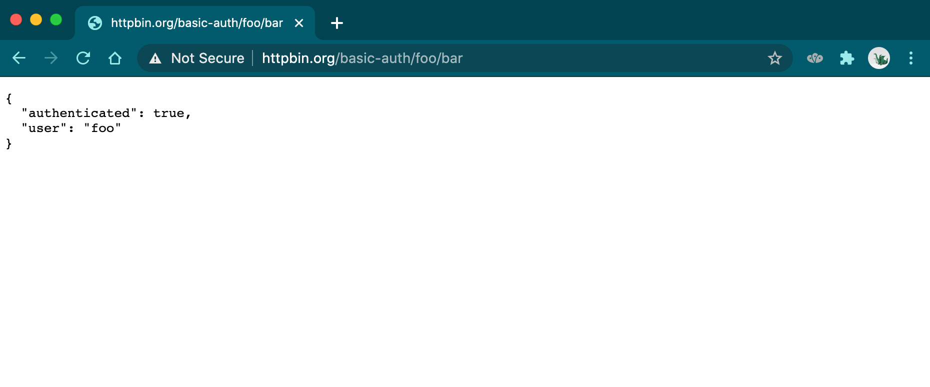 httpbin authenticated page displaying some JSON