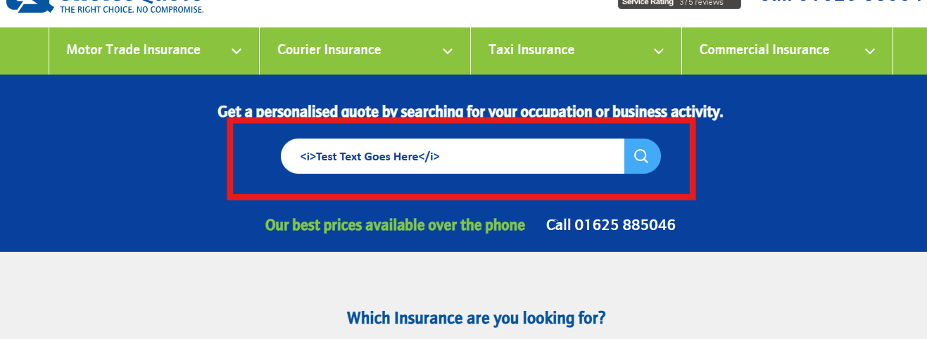 A banner section of a web page with a search bar on it is highlighted in red. An HTML code for italic text saying, <i>Test Text Goes Here</i> is typed in the search box.