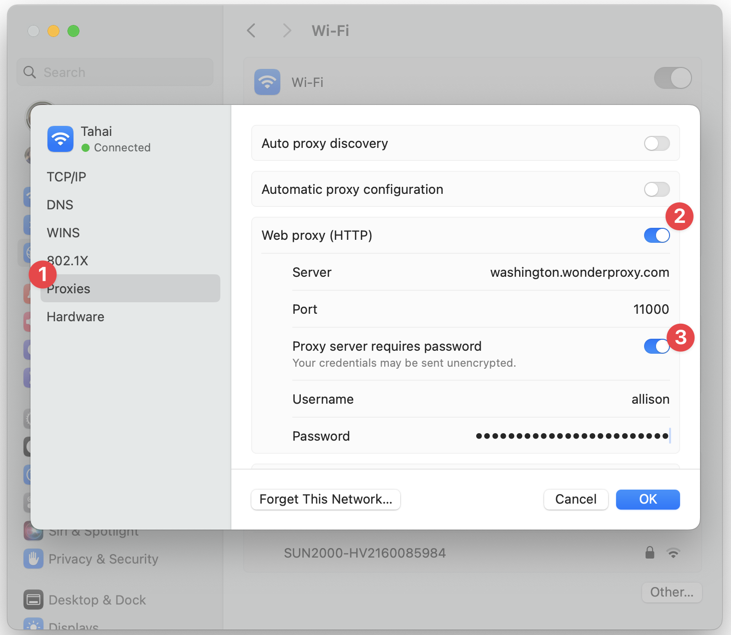 Preview of macOS's network proxies window